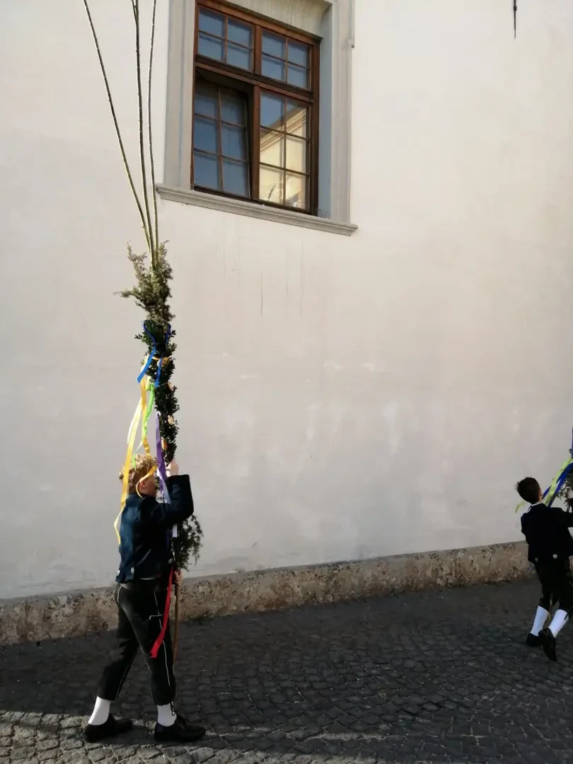 166355223_830777090847805_3538086746714726000_n