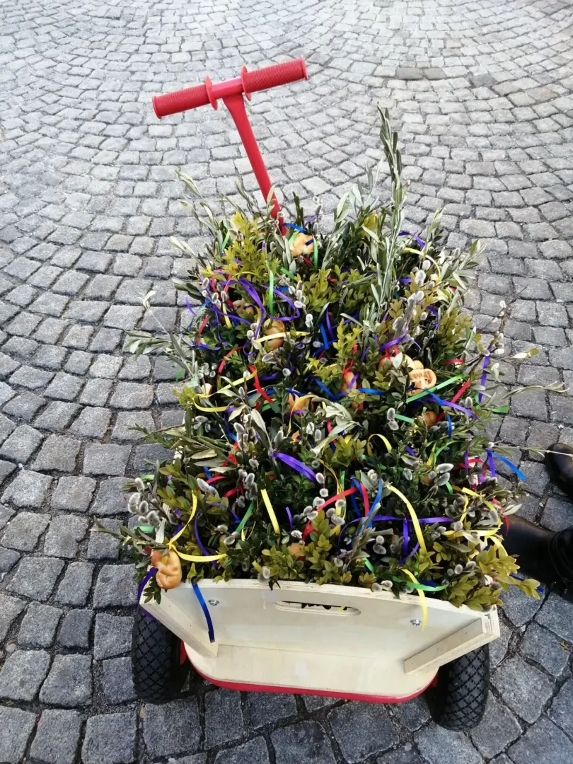 166441657_853017875277508_170151432927652217_n