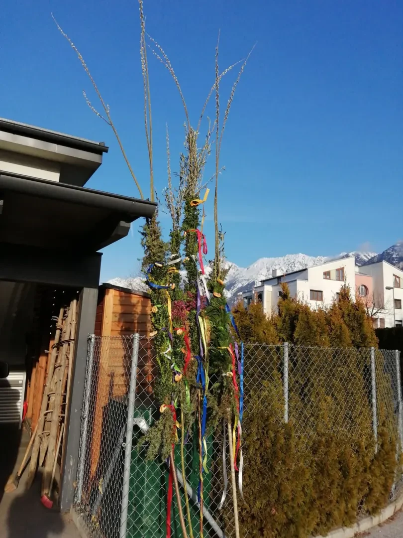 166578243_929067811180153_3762903903663620192_n